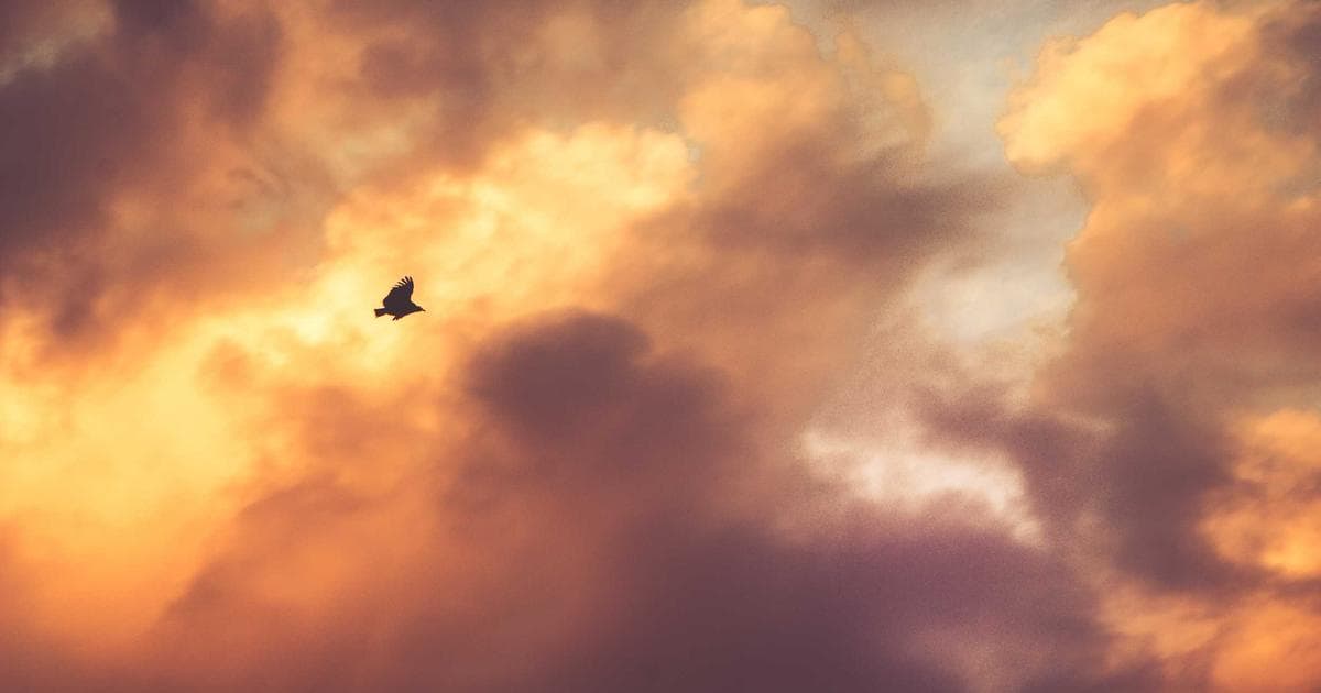 Malus écologique 2026 : votre assurance ne rembourse pas ces 80 000 € en cas de vol